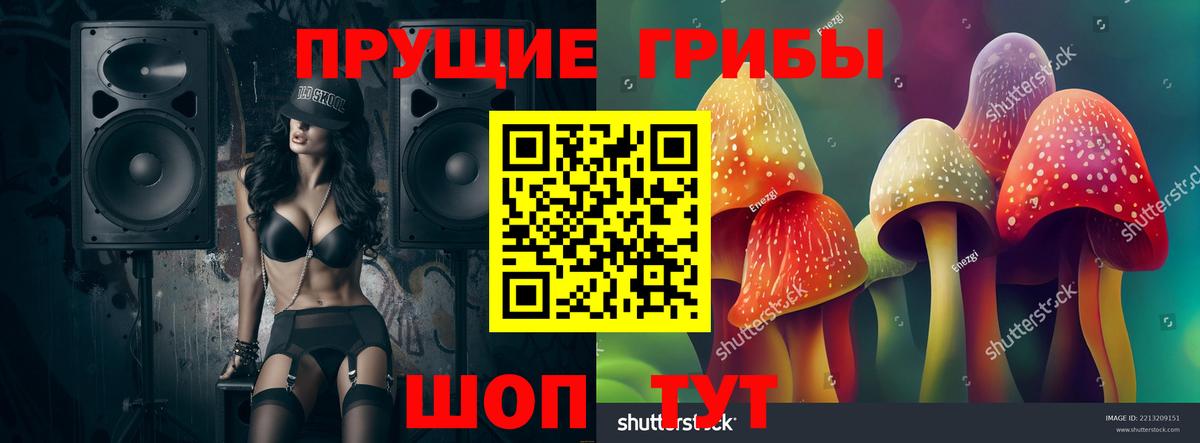 Псилоцибиновые грибы Psilocybe Уварово